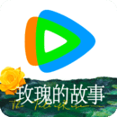 山东女王羽璃免费视频